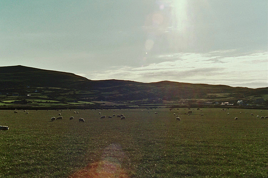 �A�o�[�_�����̕��n