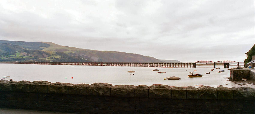 �o�[�}�E�X�̋�