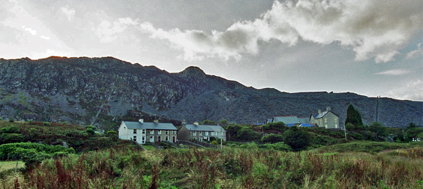 �u���i�C�E�t�F�X�e�B�j�I�O