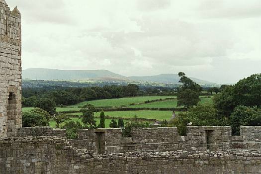 �J�[�i���H��