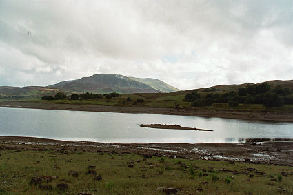 �J�y���E�P����