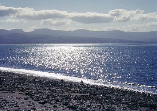 �N���P�b�X�̊C��