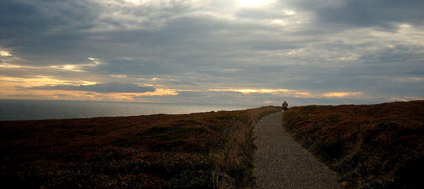 �z�[���[�w�b�h