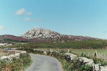 �z�[���[�w�b�h�R