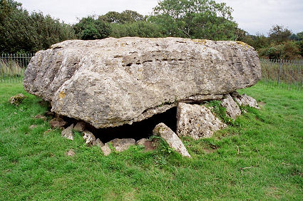 �X���O�E�B�Ñ㖄����