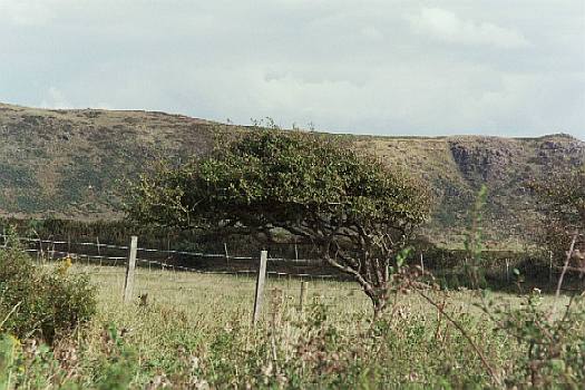 �k�E�F�[���Y