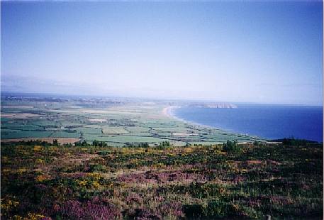 �X��������