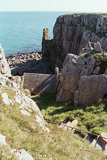 ���S���@�[���̗�q��