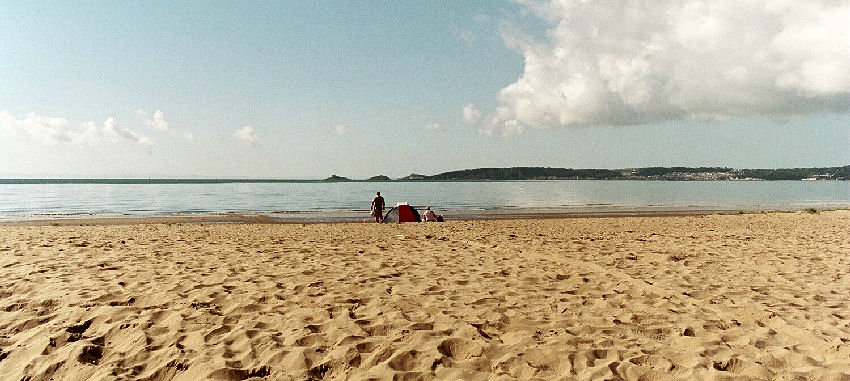 �X�E�I���W�[�A�Ă̖��c��